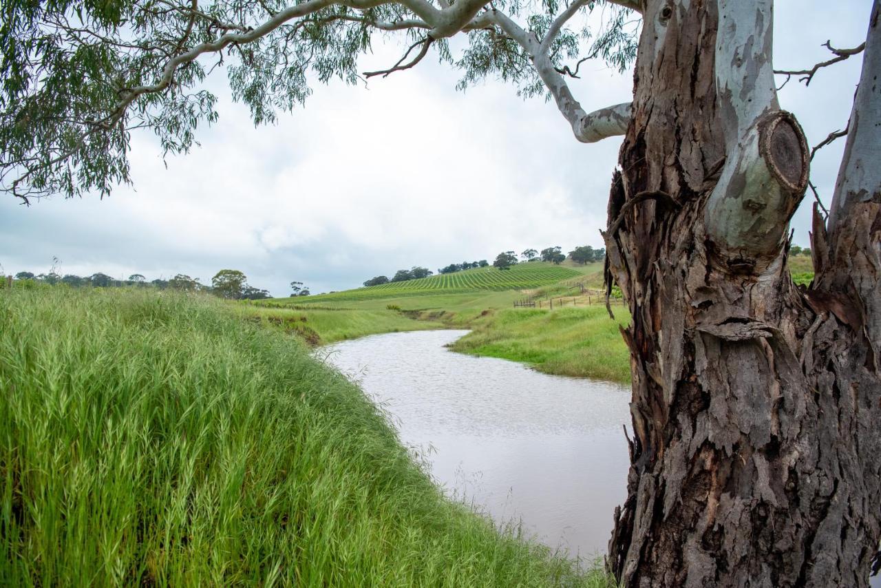 Triple Creek Guest House - Barossa Region Seppeltsfield Exteriör bild